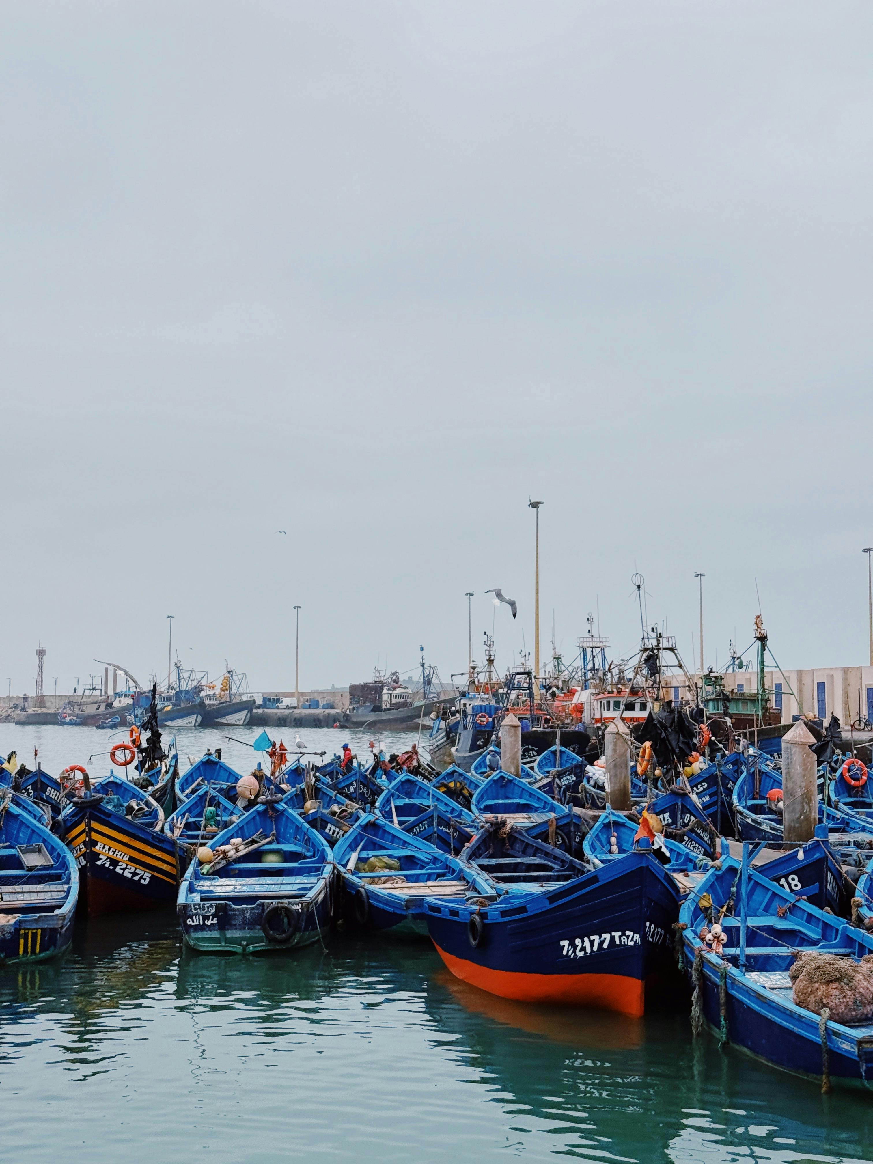 Port d'Essaouira avec ses bateaux de pêche bleus