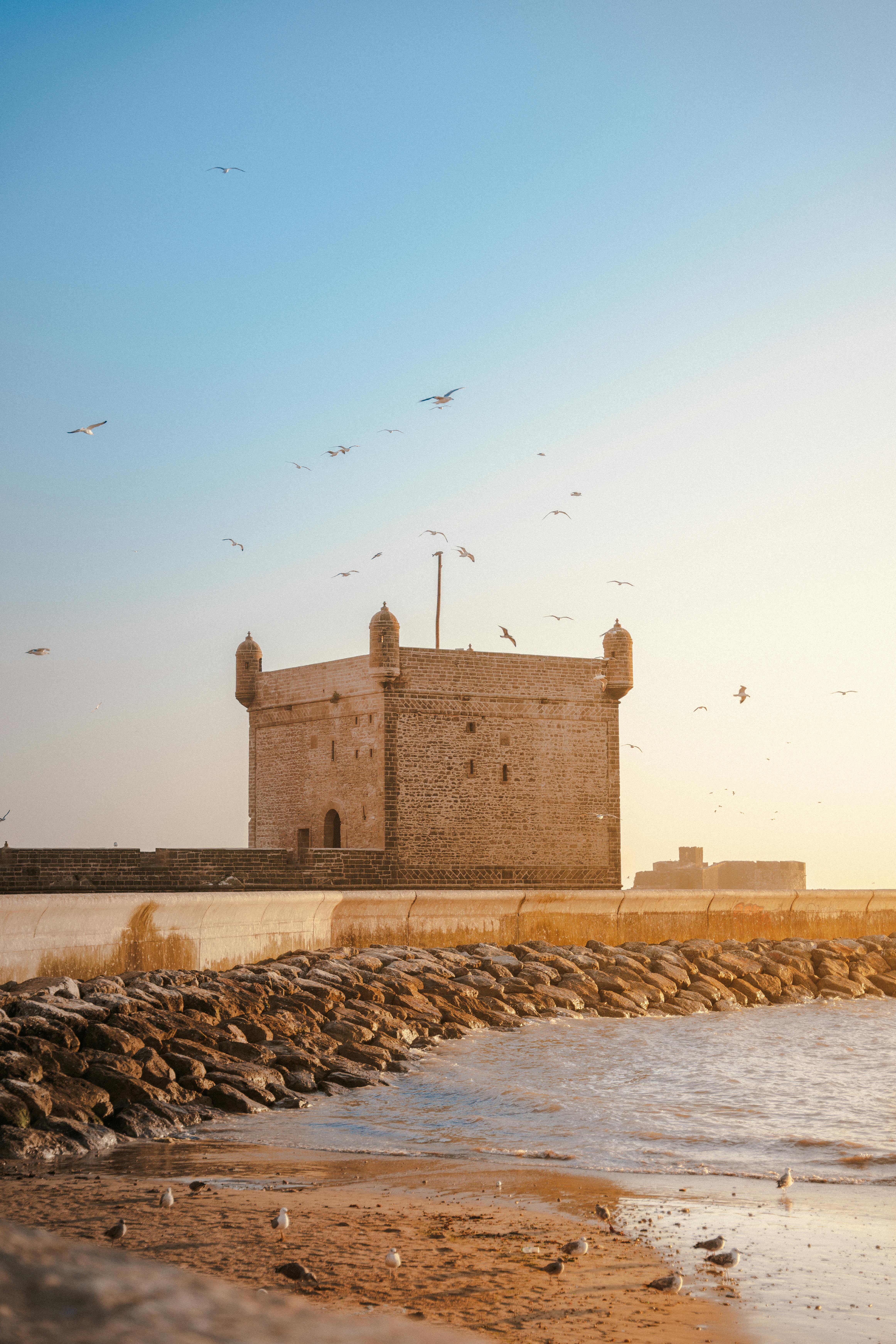 Remparts et plage d'Essaouira